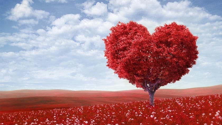 Enjoy These Romantic Things to Do in Cape Coral this Valentine’s Day!