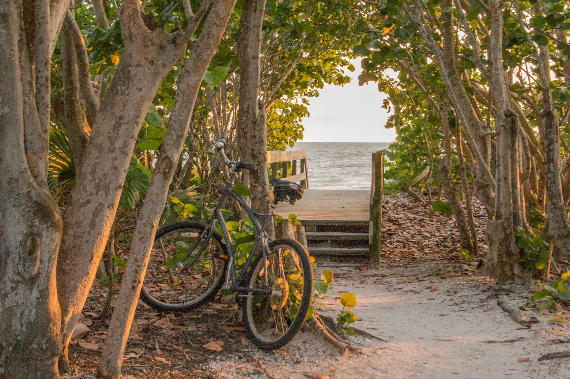 A bike on the beach