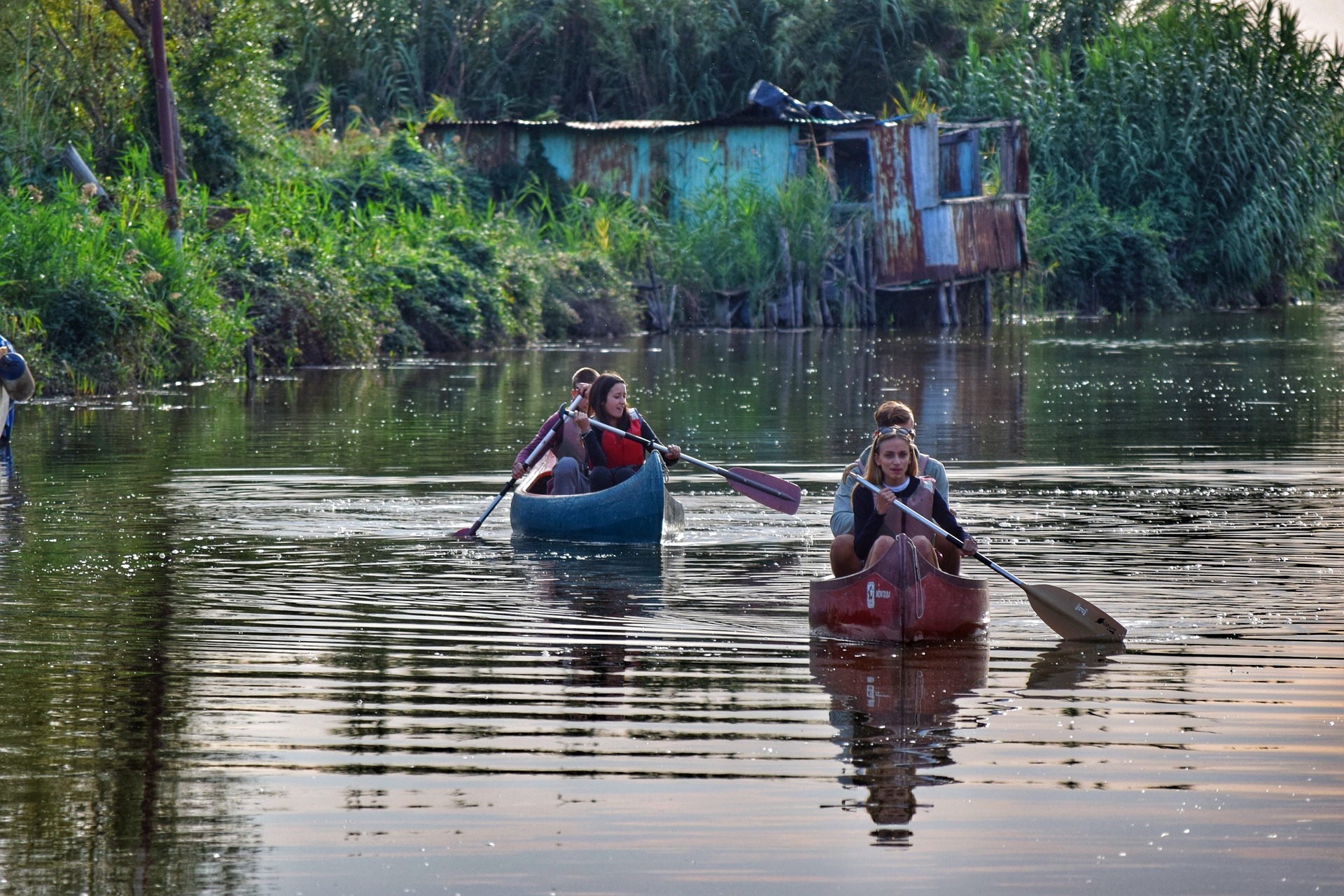 Enjoy a relaxing paddle with a Cape Coral kayaking or canoeing journey.